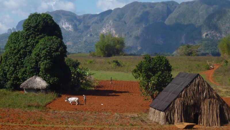 Afficher limage dorigine