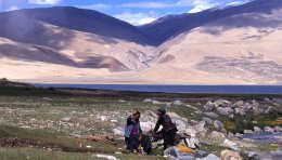 Lac Tsomoriri, Ladakh.