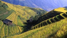 Longsheng, Chine du sud