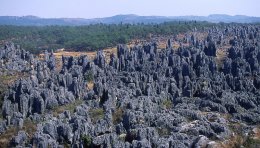 Forêt de pierre de Shiling