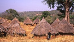 Village Bedik vers Kedougou