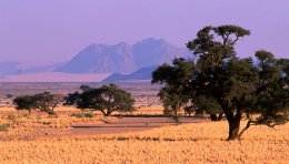 Région du Damaraland