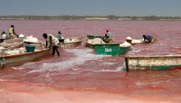Ramassage de sel sur le lac rose