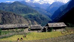 Vers Pokhara, Népal