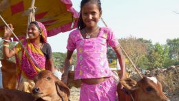 Jeunes filles indiennes sur un marché aux animaux