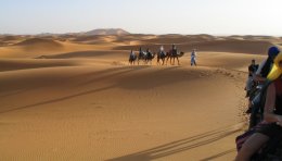 Méharée dans le désert marocain
