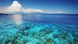 L'incroyable limpidité de la mer de Florès