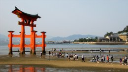 Tori sur l'île de Miyajima au Japon